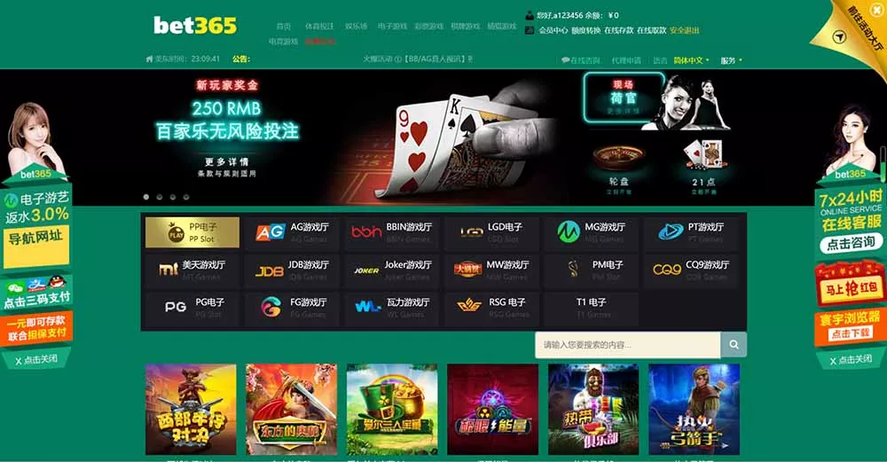 【NG游戏】娱乐城api接口+NG游戏.net程序源码+19套前端UI模板+搭建教程插图3